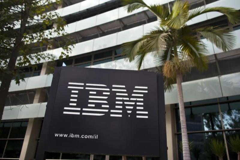 IBM,指控