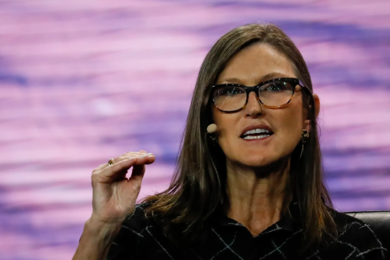 木头姐,凯茜·伍德