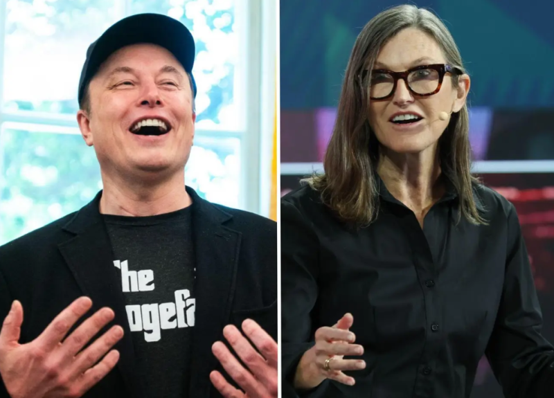 SpaceX,马斯克,木头姐